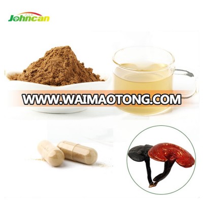 China Manufacturer Mushroom Powder