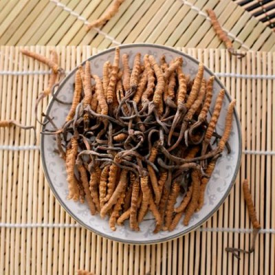 Pure Natur Plant Extract Solvent Extraction Cordyceps Militaris Cordyceps Sinensis Extract Powder